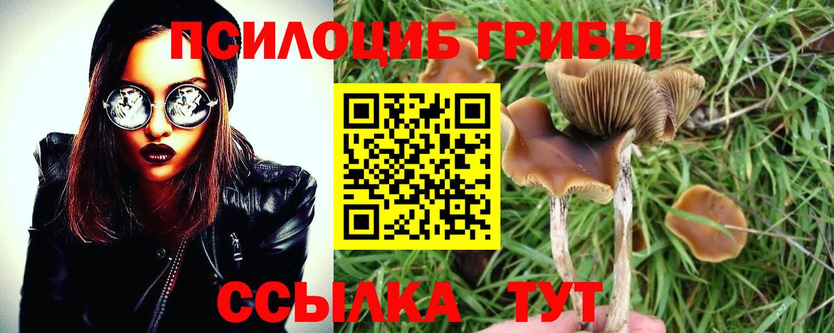 Псилоцибиновые грибы мухоморы  Псилоцибиновые грибы MAGIC MUSHROOMS  Донецк  Вход с VPN 